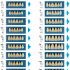 Acrotone Acrylic Teeth - Image 2