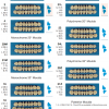 Acrotone Acrylic Teeth - Image 4