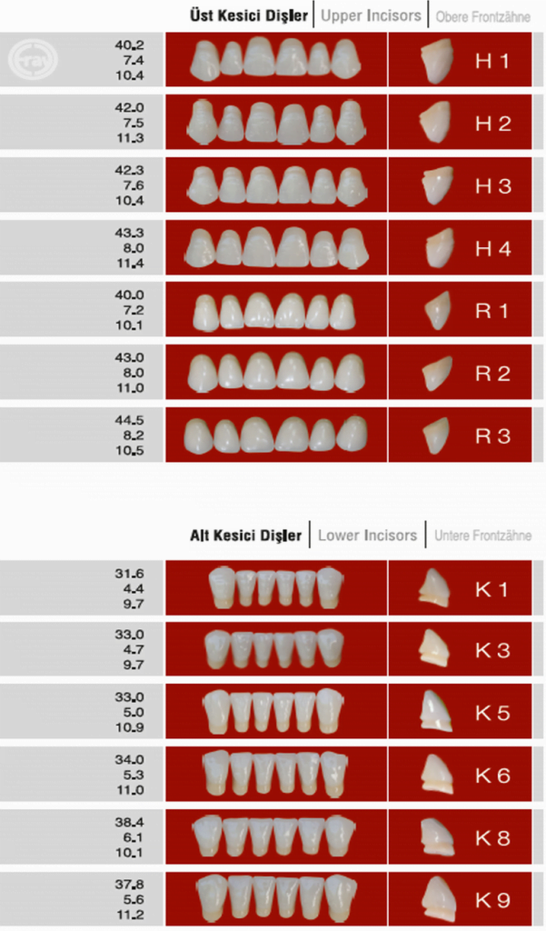 Eray Acrylic Teeth Phoenix Dental Supply