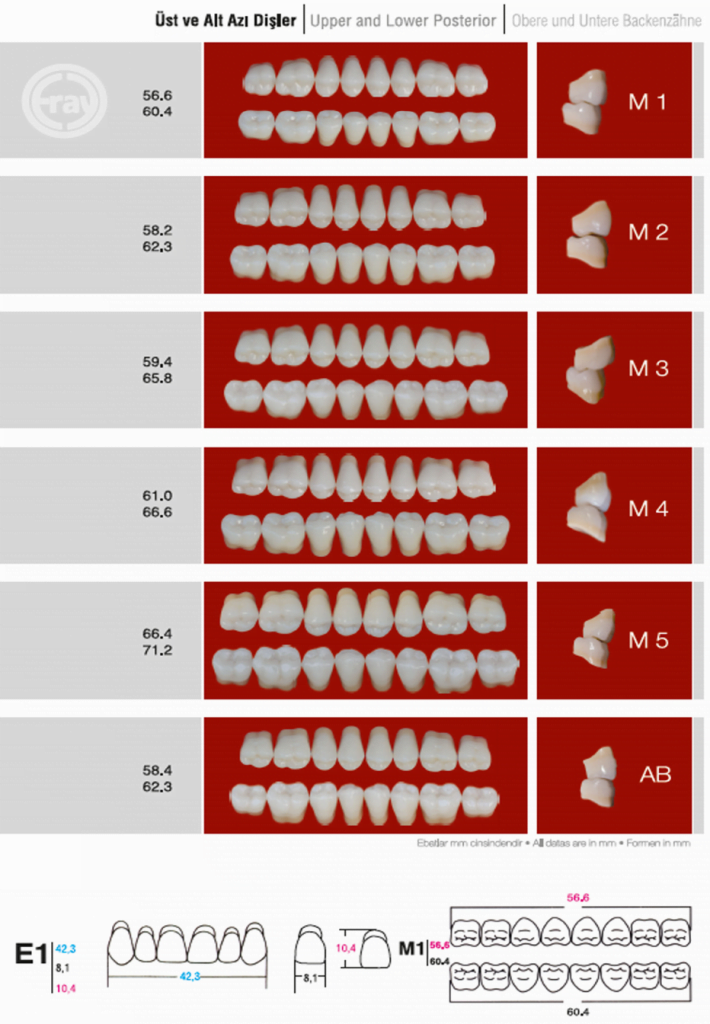 Eray Acrylic Teeth Phoenix Dental Supply