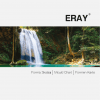 Eray Acrylic Teeth
